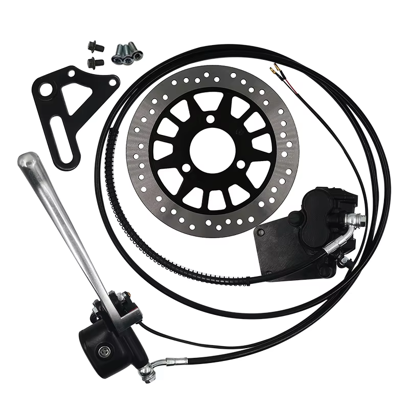 QS273 13 Inch 8000W 72V 120KMH - Qs273 Hub Motor 8000W 72V ulasan dan harga